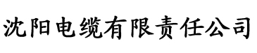 从小调教带着玉势走路电缆厂logo